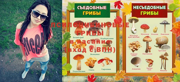 таблы Гусь-Хрустальный