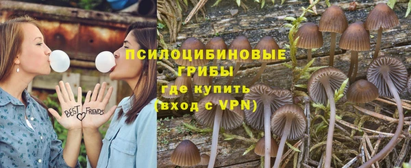 таблы Гусь-Хрустальный